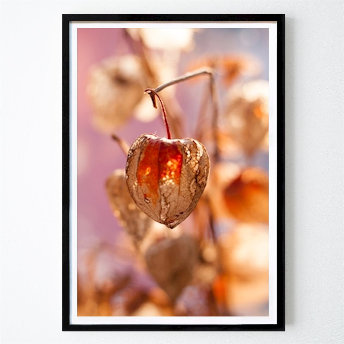 Fleurs & Plantes Affiche: Physalis - Décoration - Café - Fleur par Jakob Wochner