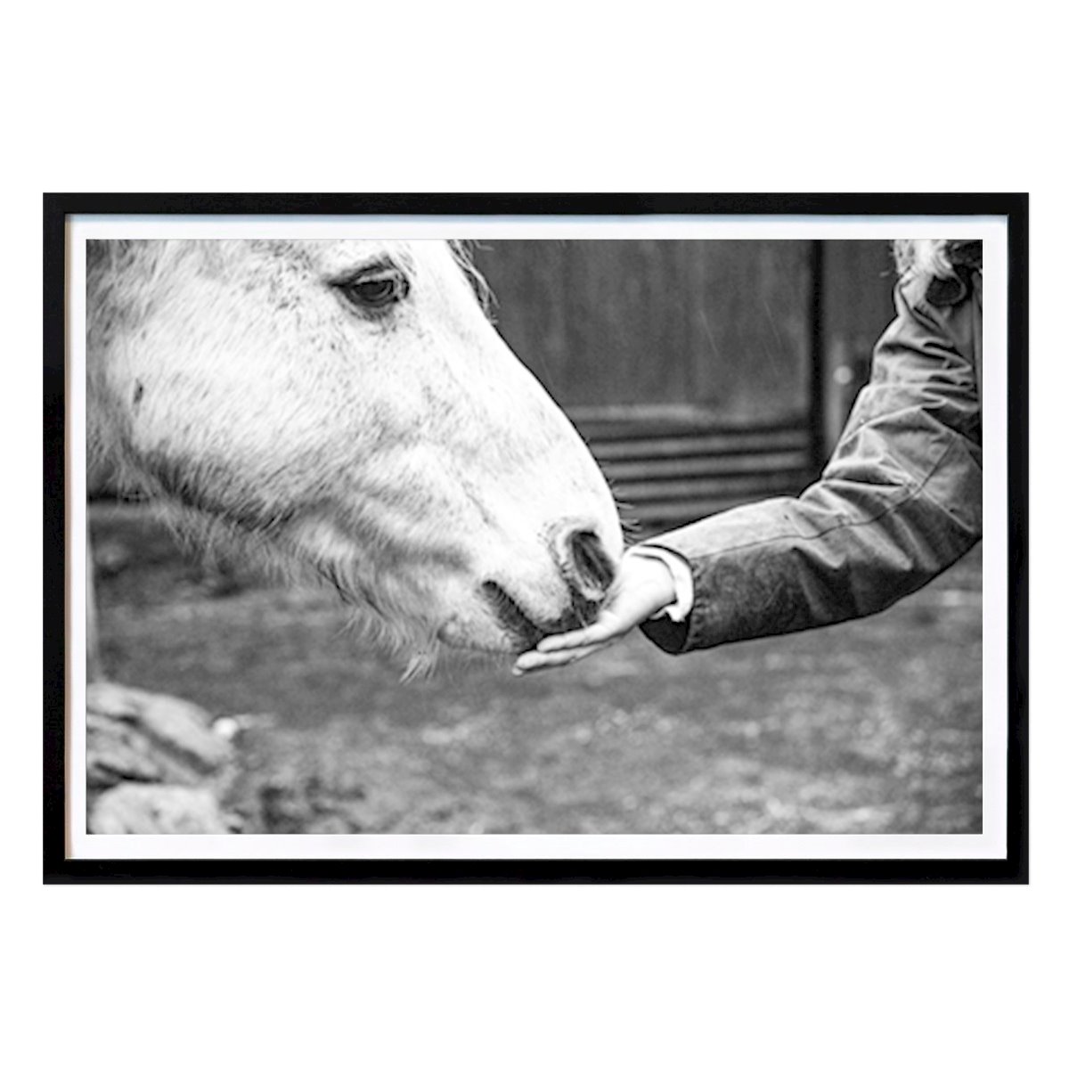 Animals Poster: Soft nose by Kristina Strand Larsson