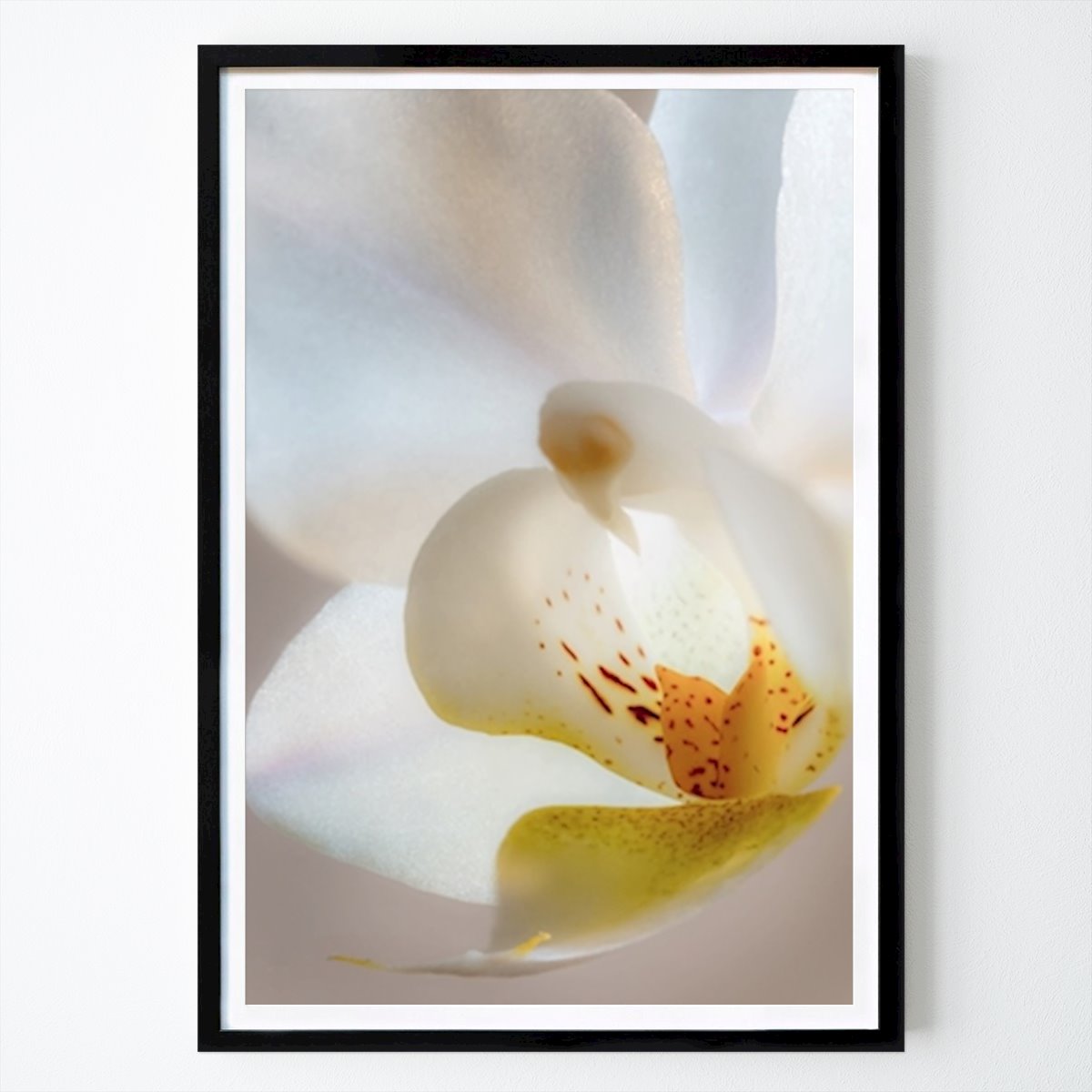 Fiori & Piante Poster: Tra petali di fiori bianchi di Ludwig Sörmlind