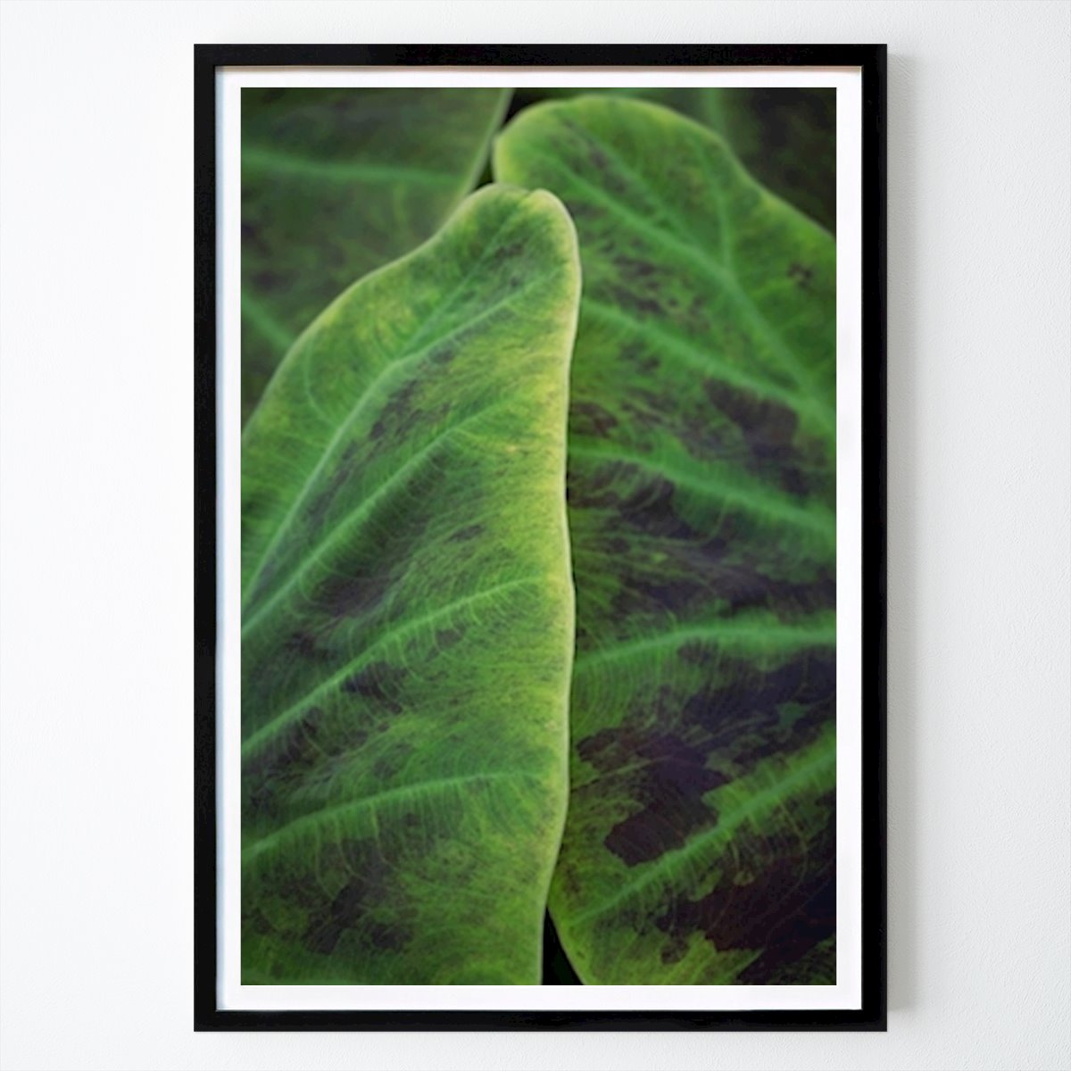 Póster: Hoja verde tropical botánica de Christa Stroo