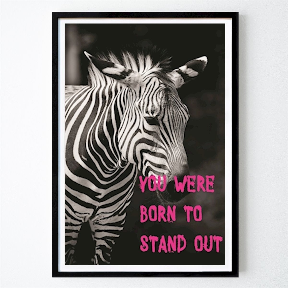 Animale Poster: Zebra Poster di Lars Gustafsson