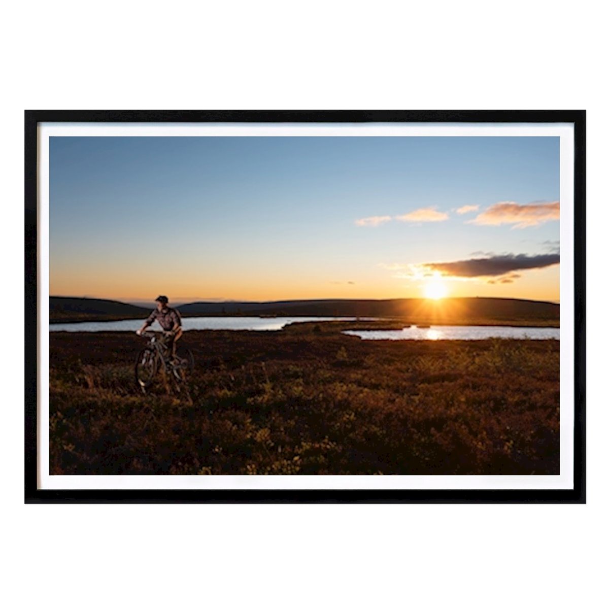 Natura Poster: Escursioni in mountain bike sull'Östfjället di Mattias Frenne