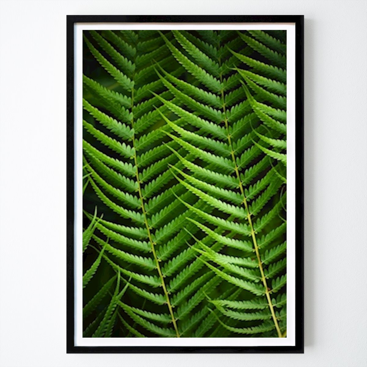 Nature Poster: Bright Fern by Edith Nero